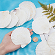 Arricraft 10 pcs coquillages naturels DIY-WH0225-95-3