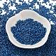 Baking Paint Glass Seed Beads X-SEED-S042-05B-75-2