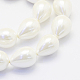Shell Pearl Beads Strands BSHE-P024-10-3