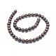Natural Opal Beads Strands G-I249-B06-02-2