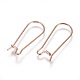 Ion Plating(IP) 304 Stainless Steel Hoop Earrings Findings Kidney Ear Wires STAS-L216-22B-RG-2