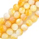 Fili di perline di conchiglia giallo dorato naturale SSHEL-G024-01E-1