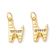 Rack Plating Eco-friendly Brass Micro Pave Clear Cubic Zirconia Charms KK-D072-01G-N-NR-1