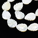 Chapelets de perles de coquille de trochid / trochus coquille SSHEL-N034-136A-01-3