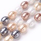 Electroplate Shell Pearl Beads Strands BSHE-O019-07B-1