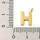 Ионное покрытие (ip) подвески из нержавеющей стали 304 STAS-G345-01G-H-3
