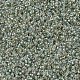 Perles rocailles miyuki rondes X-SEED-G007-RR3193-3