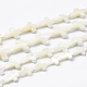 Fili di perle di conchiglia trochid naturale / trochus SSHEL-K027-02-3