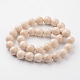 Dyed Natural Fossil Beads Strands G-E328-12mm-01-3
