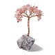 Decorazione dell'esposizione dell'albero di quarzo rosa naturale DJEW-G027-10RG-04-1