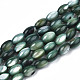 Eau douce naturelle de coquillage perles brins SHEL-N003-25-B01-1
