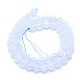 Natural Blue Chalcedony Beads Strands G-K310-C12-8mm-2