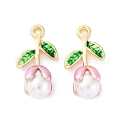 Подвески из эмали и сплава FIND-M060-22G-02