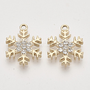 Подвески из сплава  PALLOY-T073-01LG