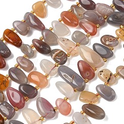 Natur Botswana Achat Perlen Stränge&nbsp;G-P604-A06-01