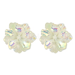 Boucles d'oreilles à tige en résine phosphorescente avec épingles en acier inoxydable 304&nbsp;EJEW-JE05359-02