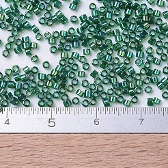 Miyuki Delica Perlen&nbsp;SEED-X0054-DB0175