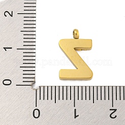Ionenplattierung (IP) 304 Edelstahl-Anhänger&nbsp;STAS-G345-01G-Z
