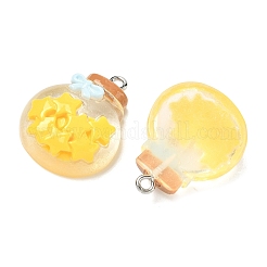 Pendentifs en résine transparente&nbsp;LS-RESI-K203-19