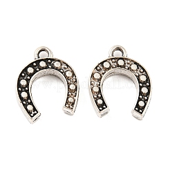 Tibetischer stil Aluminium Anhänger & Charms&nbsp;TIBE-P001-14AS