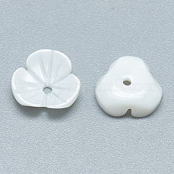 Süßwasser-Muschelperlen&nbsp;SHEL-S275-013B