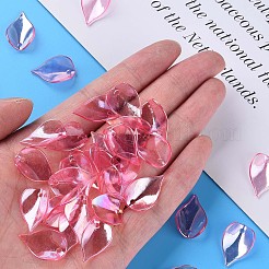 Transparente Acryl Perlen&nbsp;MACR-S373-103-C05