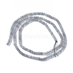 Perline labradorite naturale fili&nbsp;X-G-F596-07