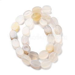 Fili di perline di agata bianca tinte e riscaldate naturalmente&nbsp;G-P559-B11-01