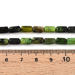 Chapelets de perles en serpentine naturelle&nbsp;G-N346-01A-04