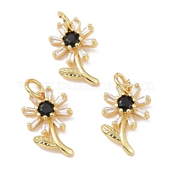 Porte micro ouvrent pendentifs zircone cubique en laiton de placage&nbsp;KK-E033-11G