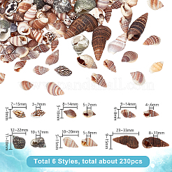6 Arten natürliche gemischte Muschelperlen&nbsp;SSHEL-GA0001-20