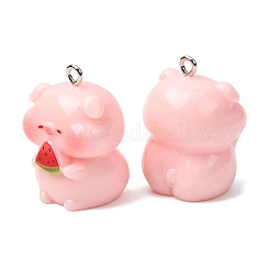 Pendentifs en résine opaque&nbsp;FIND-K031-03