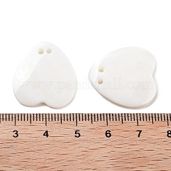 Pendentifs de coquillages d'eau douce naturelle&nbsp;SHEL-D082-05A