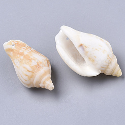 Natürliche Spirale Shell Anhänger&nbsp;SSHEL-N035-02