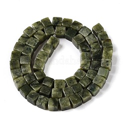 Natur taiwan Jade Perlen Stränge&nbsp;G-T139-6x6-21A