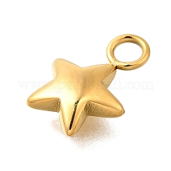 Anhänger aus 304 Edelstahl&nbsp;STAS-R159-22G
