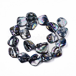 Shell perle d'acqua dolce fili&nbsp;SHEL-N026-204