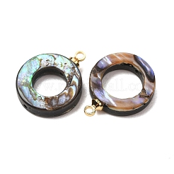 Ciondoli in conchiglia di abalone naturale&nbsp;SH-CJC0AC7-01G-G