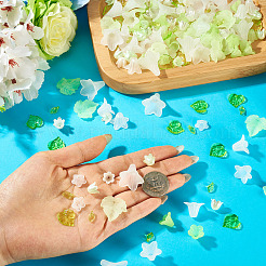 Kits de fabrication de bijoux diy&nbsp;DIY-TA0014-75