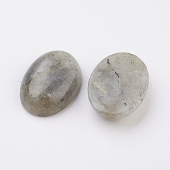 Cabochons à dos plat labradorite naturelle&nbsp;G-G741-22x30mm-18