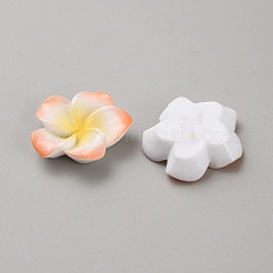 Zwei Ton-Harz-Cabochons&nbsp;RESI-WH20010-01D