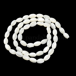 Natürliche Trochusmuschelperlenstränge&nbsp;X-BSHE-E030-02C