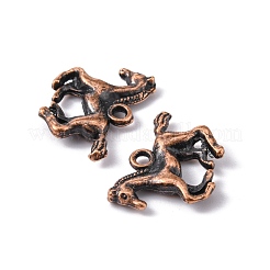 Tibetischer stil Aluminium Anhänger & Charms&nbsp;TIBEP-T002-07R-NR