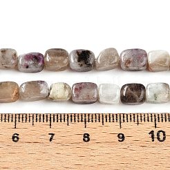 Natürliche pflaumenblüte turmalin perlen stränge&nbsp;G-T141-12A