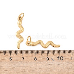 Ciondoli in acciaio inox 304&nbsp;STAS-D390-33G