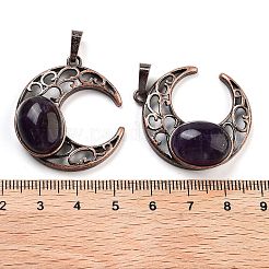 Natürlichen Amethyst Edelsteinanhänger&nbsp;G-L602-01R-22