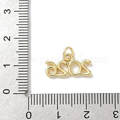 Messing Anhänger & Charms&nbsp;KK-A273-20G