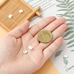 5 Stück natürliche weiße Muschelperlen&nbsp;BSHE-CJ0001-07