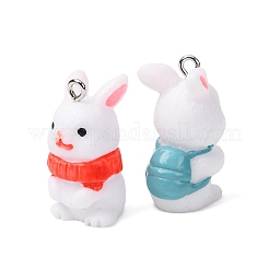 Pendenti in resina opaca&nbsp;FIND-P035-01P-M
