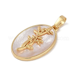 Pendentifs ovales en laiton plaqué en rack&nbsp;KK-U032-92G-08